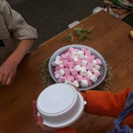 IMG 4316 - Scouts en Gidsen Zaventem 
